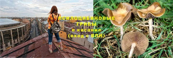 прущая мука Армянск