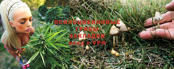 МДПВ Аркадак
